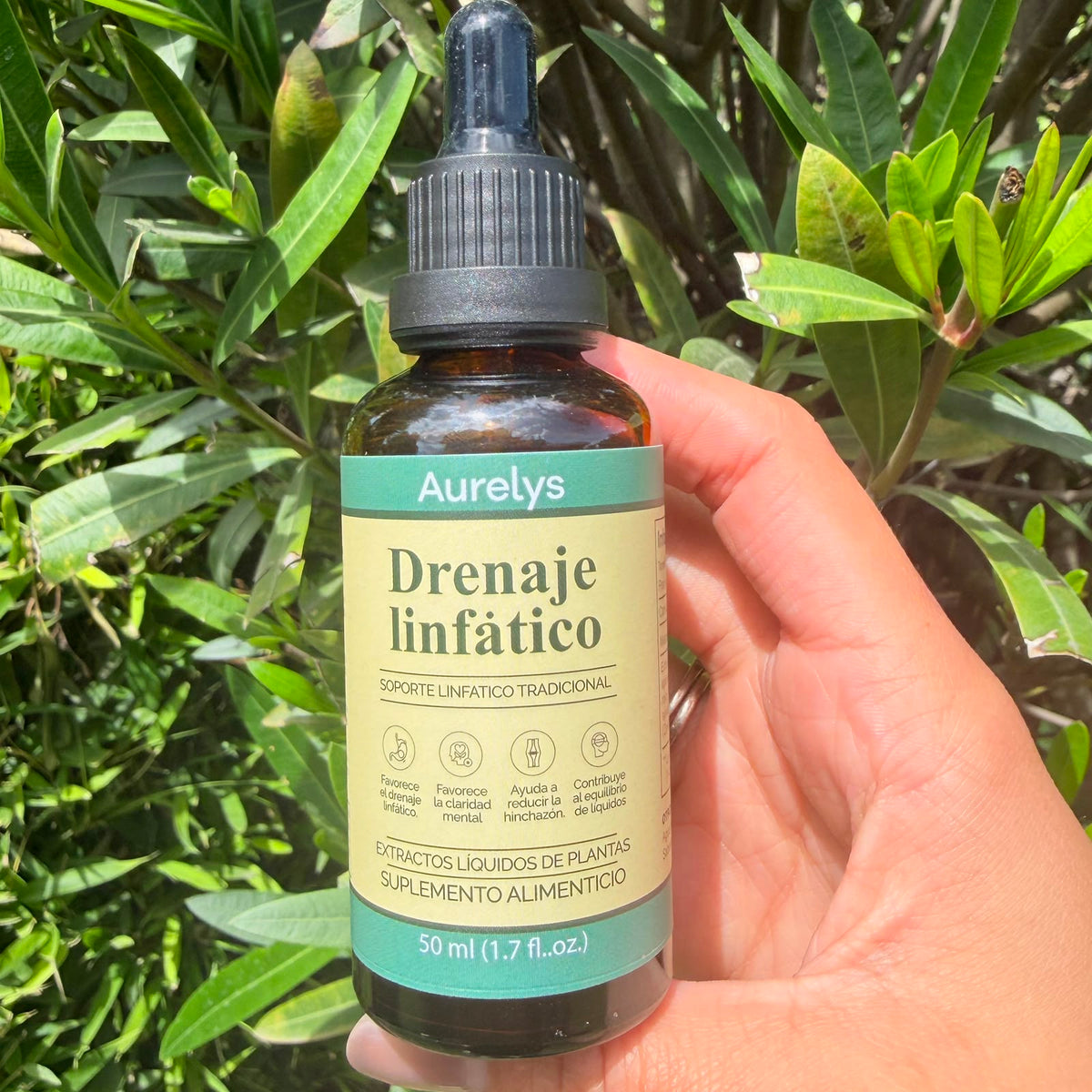 Lymphatic Drainage Extracto Herbal Liq